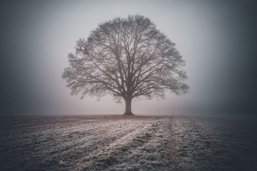 Wintertour 2024 – ein kurzes Fazit!